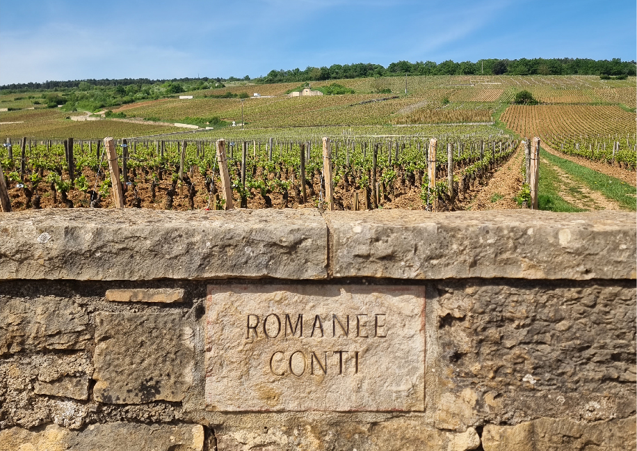 로마네꽁띠: 부르고뉴 와인의 귀족, 세계적인 명성의 보석 같은 와인